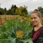 Der perfekte Romanesco