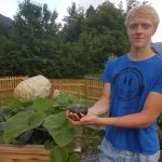 Die erste Ernte mit Paul