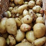 Für uns die schönsten Erdäpfel