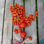 Herrliches Essen